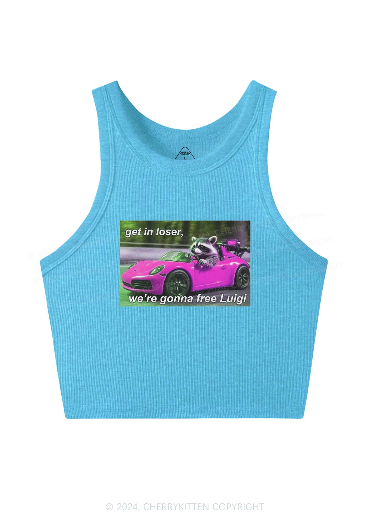 Get In Loser Free Him Y2K Crop Tank Top Cherrykitten